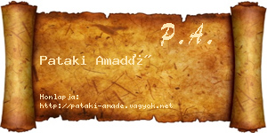 Pataki Amadé névjegykártya